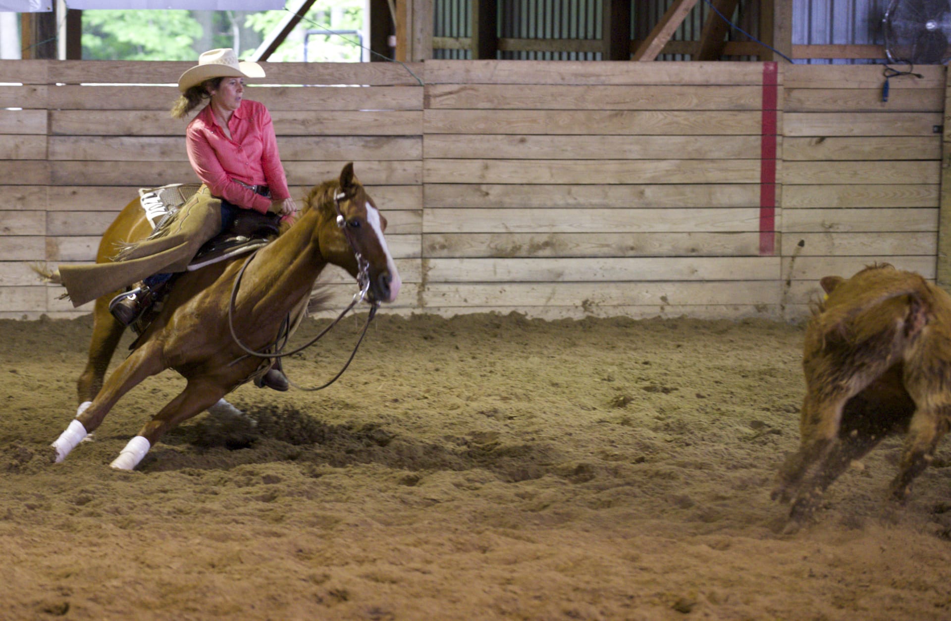 reining 2