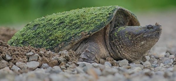 DSC_0981_HDR