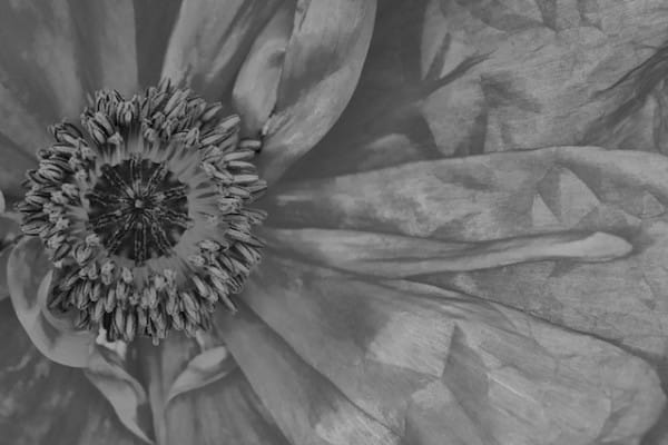 DSC_6555 (2)