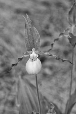 DSC_6614 (2)