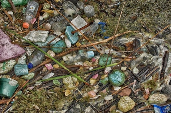 DSC_2471_HDR (1)