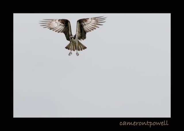 _CTP4872 2 (2)