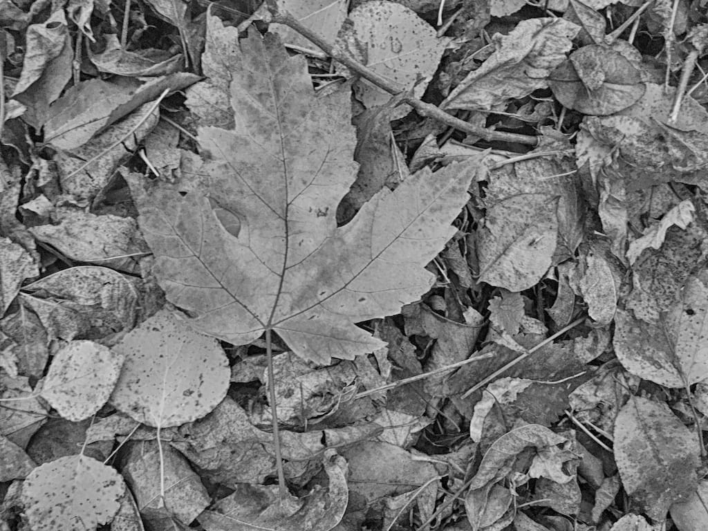 IMG_4196_HDR (2)