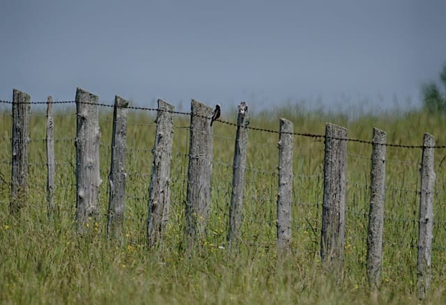 _CTP7183_HDR