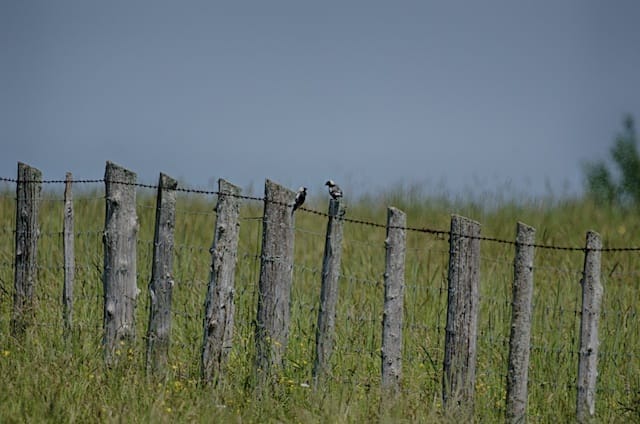 _CTP7189_HDR