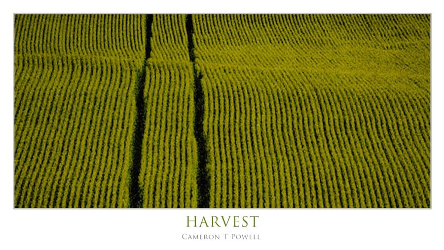 HARVEST 2015