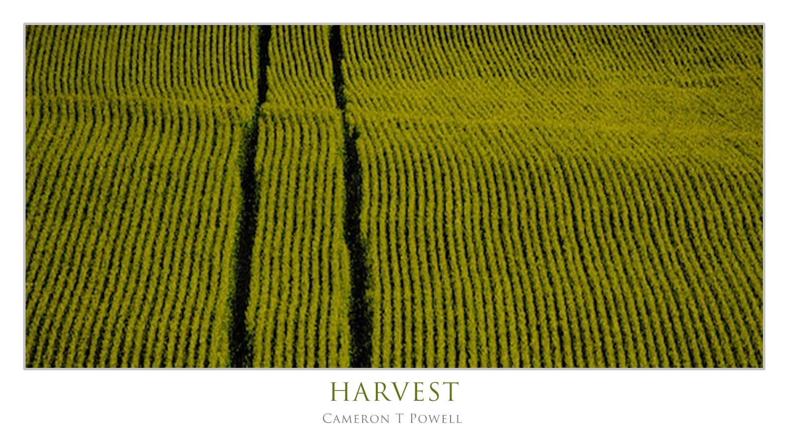 HARVEST 2015