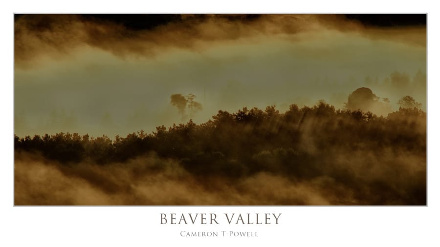 BV4