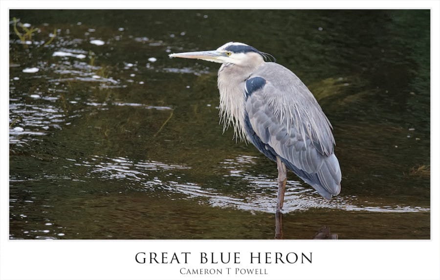 gbh1234