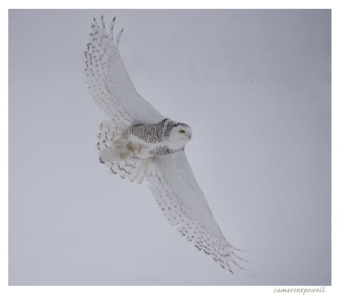 _CTP7933 copy