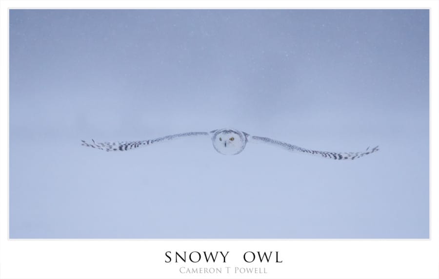 sowl2