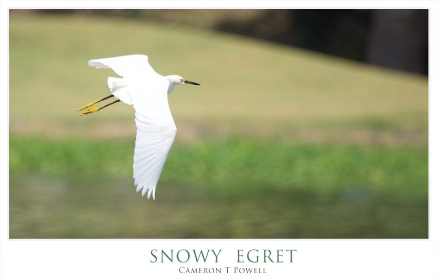 SEGRTE