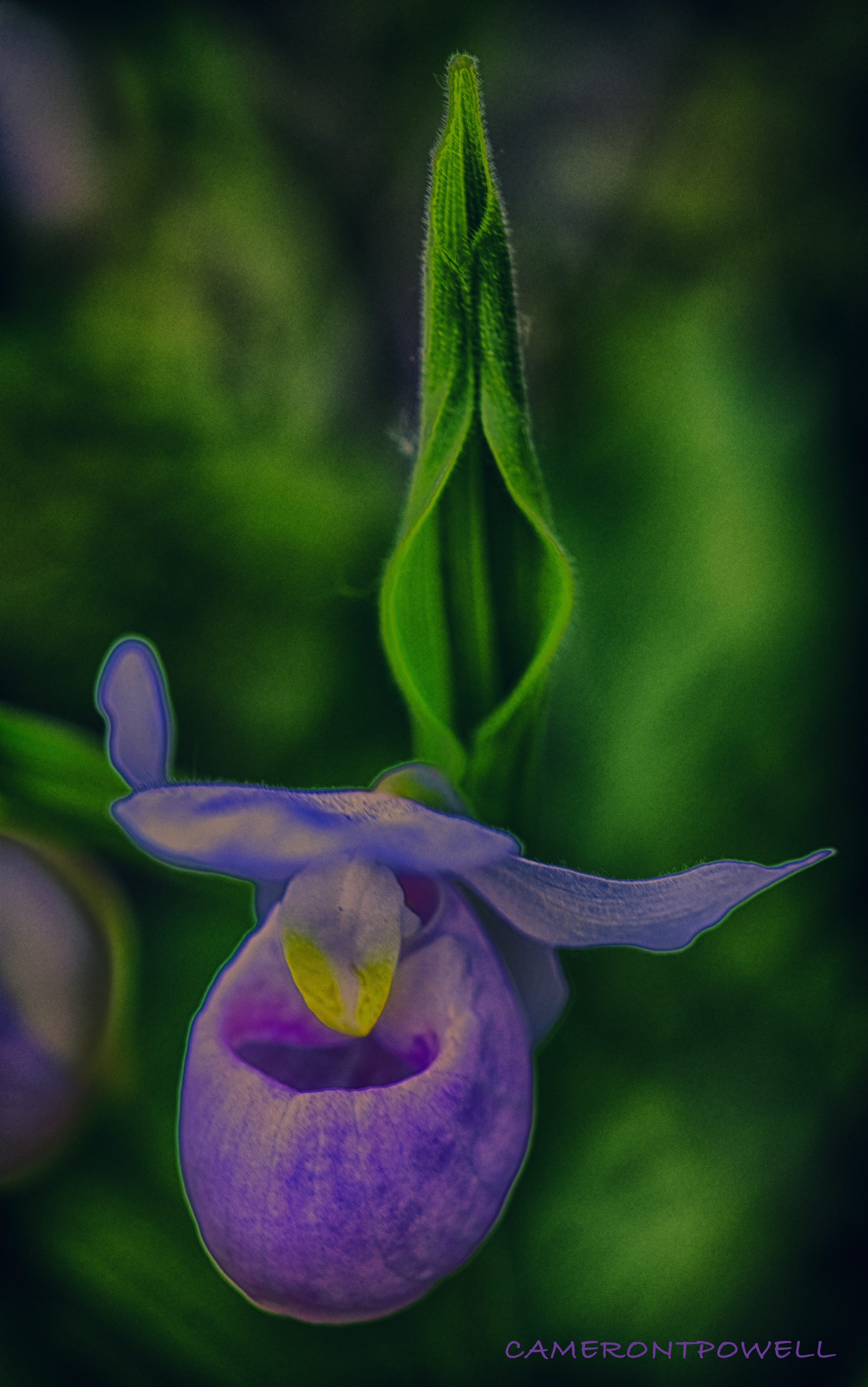 _CTP0665_HDR