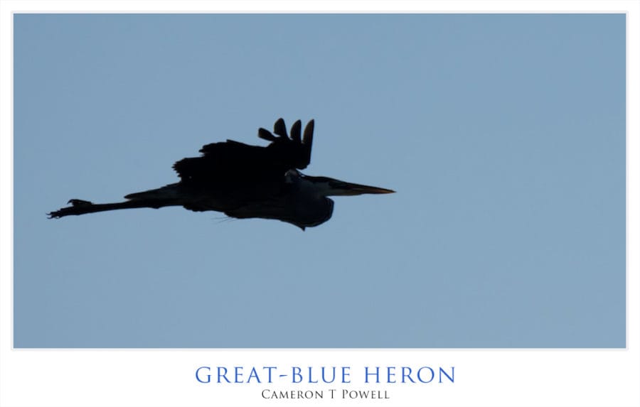 gbh 16