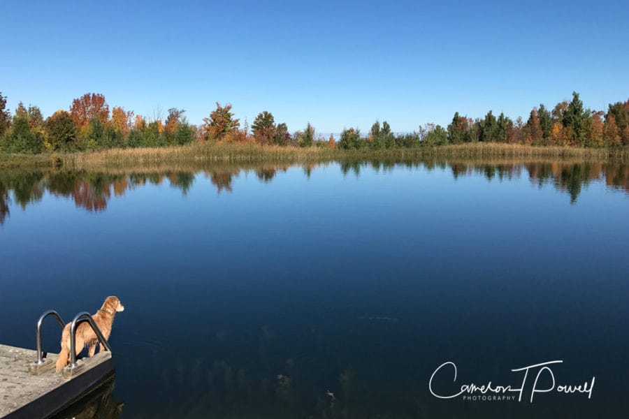 ctp-photography-good-6