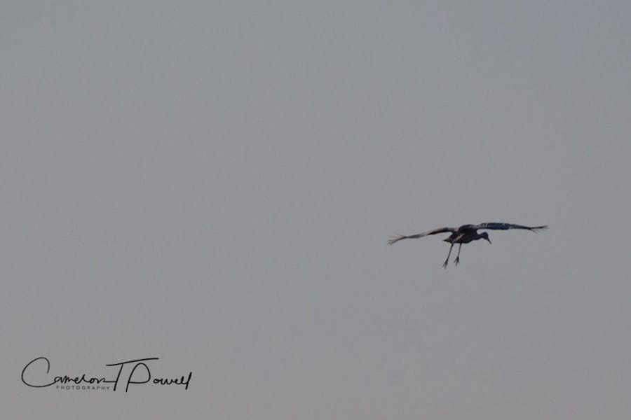 ctp-photography-good