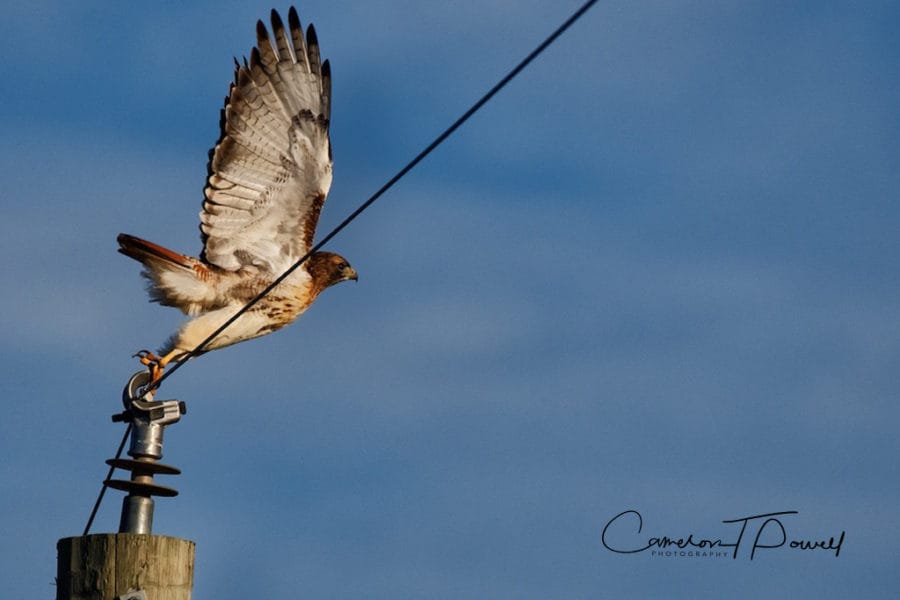 lift-off